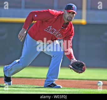 Los Angeles Engel Albert Pujols Felder eine Kugel während des Trainings bei Tempe Diablo Stadion in Tempe, Arizona, 21. Februar 2012. Pujols, ein Stern mit der World Series Champion St. Louis Cardinals letzte Saison, wird jetzt mit den Engeln. UPI/Kunst Foxall Stockfoto