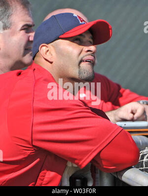 Los Angeles Engel Albert Pujols Uhren der Flug von einem anderen Spieler während des Trainings bei Tempe Diablo Stadion in Tempe, Arizona, 21. Februar 2012 getroffen. Pujols, ein Stern mit der World Series Champion St. Louis Cardinals letzte Saison, wird jetzt mit den Engeln. UPI/Kunst Foxall Stockfoto