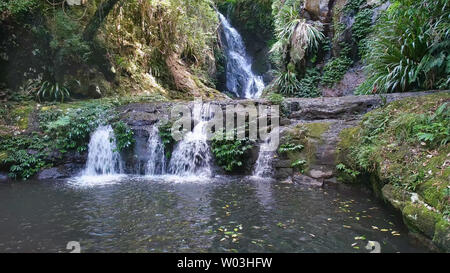 Schrägansicht des elabana fällt im Lamington National Park in Queensland Stockfoto