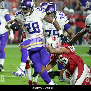 Minnesota Vikings zurück Adrian Peterson laufen zum Ende Zone für einen Touchdown im ersten Quartal des Vikings-Arizona Kardinäle Spiel an der Universität von Phoenix Stadium in Glendale, Arizona, 10. Dezember 2015. Foto von Kunst Foxall/UPI Stockfoto