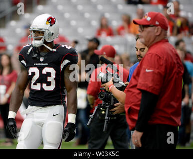 Arizona Cardinals' back Adrian Peterson laufen (23) nimmt Teil an der Warm up Übungen, bevor die Kardinäle die Tampa Bay Buccaneers an der Universität von Phoenix Stadium in Glendale, Arizona am 15. Oktober 2017 spielen. Kardinäle Head Coach Bruce Arianer (R) Uhren die Spieler aufwärmen. Foto von Kunst Foxall/UPI Stockfoto
