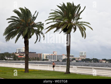 Die Palmen wehen im Wind wie Tampa Bewohner Übung entlang Bayshore Blvd während Tropischer Sturm Isaak in Tampa, Florida August 27, 2012 Tropical Storm Isaac verursacht die Stornierung der Republican National Convention am Tampa Bay Times Forum im Hintergrund. UPI/Mark Wallheiser Stockfoto