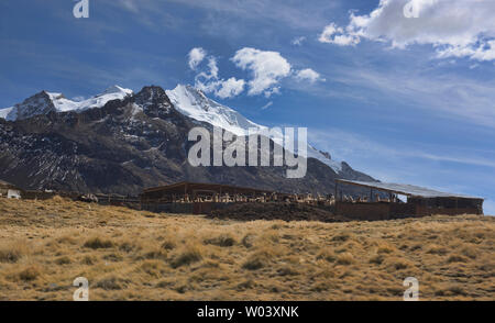 Llama pen vor der Huayna Potosi, 6088 m (19,970 feet), Cordillera Real, Bolivien Stockfoto