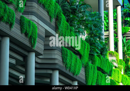 Umweltfreundliche Gebäude mit vertikalen Garten in der modernen Stadt. Grüne Pflanze und tree forest und Efeu auf der Fassade auf nachhaltiges Bauen. Energieeinsparung Stockfoto