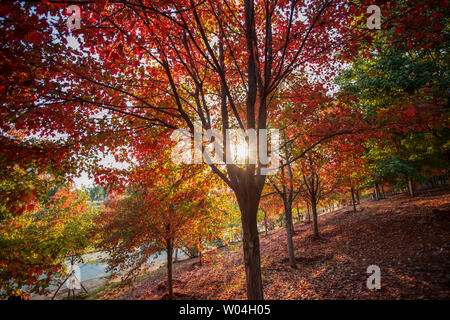 Jianghan Road Fußgängerzone Stockfoto