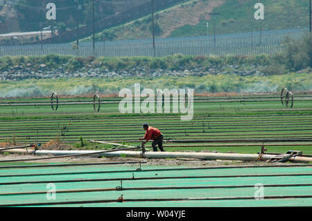 Ein Mann arbeitet in einem Bereich, in San Ysidro, Kalifornien, 22. März 2005, neben der US-mexikanischen Grenze. Eine Analyse von Daten der Regierung des Pew Hispanic Center, ein eigenes Research Group in Washington DC zeigte eine geschätzte 10,3 Mio. undokumentierte Einwanderer in den Vereinigten Staaten im letzten Jahr, eine Steigerung von über 23 Prozent von 8,4 Mio. im Jahr 2000 und wird ein heißes Thema bei den Nordamerikanischen Gipfel, wenn US-Präsident George W. Bush trifft sich mit mexikanischen Präsidenten Vicente Fox und der kanadische Premierminister Paul Martin, 23. März in Waco, Texas an Bush Crawford Ranch. (UPI Foto/Earl S. Schrei Stockfoto