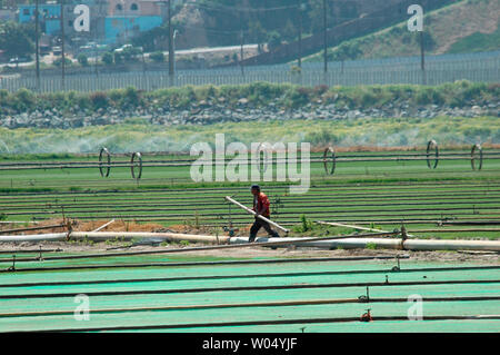 Ein Mann arbeitet in einem Bereich, in San Ysidro, Kalifornien, 22. März 2005, neben der US-mexikanischen Grenze. Eine Analyse von Daten der Regierung des Pew Hispanic Center, ein eigenes Research Group in Washington DC, zeigte eine geschätzte 10,3 Mio. undokumentierte Einwanderer in den Vereinigten Staaten im letzten Jahr, eine Steigerung von über 23 Prozent von 8,4 Mio. im Jahr 2000 und wird ein heißes Thema bei den Nordamerikanischen Gipfel, wenn US-Präsident George W. Bush trifft sich mit mexikanischen Präsidenten Vicente Fox und der kanadische Premierminister Paul Martin, 23. März in Waco, Texas an Bush Crawford Ranch. (UPI Foto/Earl S. Cr Stockfoto