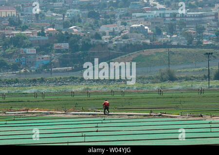 Ein Mann arbeitet in einem Bereich, in San Ysidro, Kalifornien, 22. März 2005, neben der US-mexikanischen Grenze. Eine Analyse von Daten der Regierung des Pew Hispanic Center, ein eigenes Research Group in Washington DC, zeigte eine geschätzte 10,3 Mio. undokumentierte Einwanderer in den Vereinigten Staaten im letzten Jahr, eine Steigerung von über 23 Prozent von 8,4 Mio. im Jahr 2000 und wird ein heißes Thema bei den Nordamerikanischen Gipfel, wenn US-Präsident George W. Bush trifft sich mit mexikanischen Präsidenten Vicente Fox und der kanadische Premierminister Paul Martin, 23. März in Waco, Texas an Bush Crawford Ranch. (UPI Foto/Earl S. Schrei Stockfoto