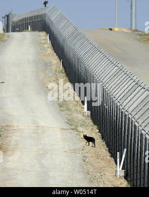 Ein streunender Hund Spaziergänge entlang der US-mexikanischen Grenze, 13. Mai 2006 Trennung von Tijuana, Mexiko, auf der rechten Seite und San Diego, Kalifornien, auf der linken Seite. Der Grenzzaun verläuft vom Golf von Mexiko in Texas Ende in den Pazifischen Ozean. (UPI Foto/Earl S. Cryer) Stockfoto