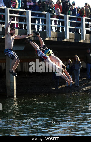 Drei jumper Dive und weg von der Brücke in den Burley Lagune Sprung bei der 31. jährlichen Eisbär am 1. Januar 2015 in Olalla, Washington. Über 500 hardy Teilnehmer schlossen sich an Tag Tradition, das Neue Jahr mit einem Sprung in das kühle Wasser der Lagune während der jährlichen Eisbär stürzen. UPI/Jim Bryant Stockfoto