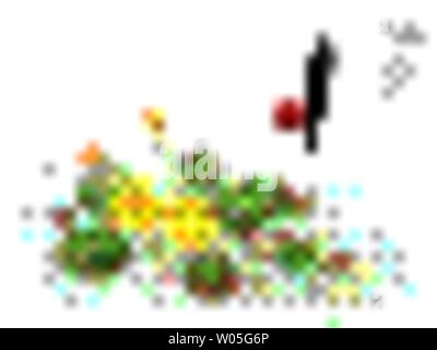 Aquarell Chinesische Tinte Farbe Art illustration Natur Pflanze aus dem Buch der Lieder Nymphoides peltatum. Übersetzung für das chinesische Wort: Pflanze und Ny Stock Vektor