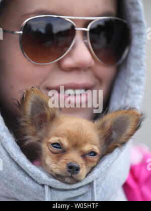 Jennifer Mendoza Knuddel mit ihrem Long-Haired Chihuahua, Ella, während sie Freunde von der Brücke in den Burley Lagune springen während der 33. jährlichen Eisbär am 1. Januar 2017 in Olalla, Washington. Über 400 hardy Teilnehmer schlossen sich an die Tradition der jährlichen Neues Jahr durch einen Sprung in den kühlen Wasser der Lagune während der Eisbär stürzen. Foto von Jim Bryant/UPI Stockfoto