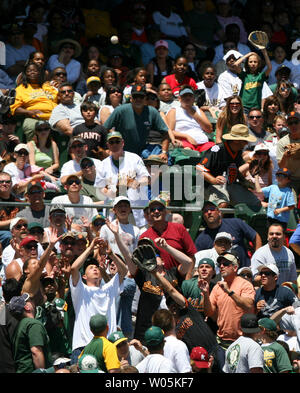 Fans versuchen ein Foul Ball durch San Francisco Giants DH Barry Bonds (25) im ersten Inning gegen die Oakland Athletics an der McAfee Coliseum in Oakland, Kalifornien am 20. Mai 2007 zu fangen. (UPI Foto/Aaron Kehoe) Stockfoto