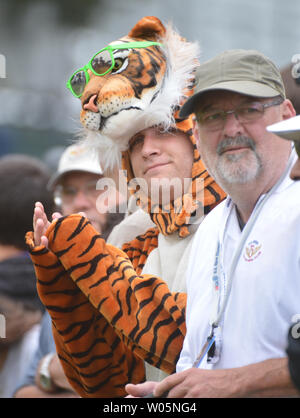 Ein Ventilator gekleidet wie ein Tiger Uhren Tiger Woods auf die zweite Fahrrinne in der vierten Runde der US Open bei den Olympischen Club in San Francisco am 17. Juni 2012. UPI/Kevin Dietsch Stockfoto