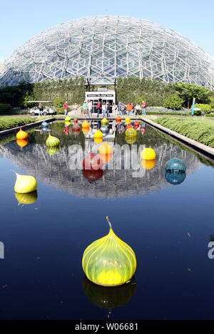 "Walla Walla Zwiebeln, 'Glas Stücke mit Spitzen Spitzen, den berühmten süßen Zwiebeln der Staat Washington ähneln, sind nur eines der Stücke, von Künstler Dale Chihuly Durchgebrannte Kunst Glas Display als "Glas im Garten bekannt, "dass an der Missouri Botanical Garden in St. Louis am 27. April 2006 eröffnet hat. Chihuly ist bekannt für seine lebhaft bunten Flüssigkeiten und organischen monumentale Skulpturen aus Glas oft in komplexen Gruppierungen vorgestellt. Die climatron wird dargestellt. (UPI Foto/Rechnung Greenblatt) Stockfoto