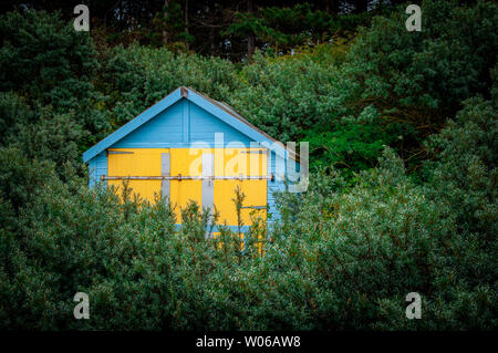 Isolierte Hütte in den Bäumen Stockfoto