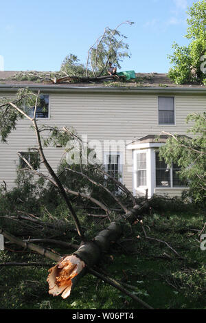 Matt Bauer legt auf seinem Dach Nageln ein tarp über eine Bohrung, die verursacht wurde nach einem großen Baum auf seinem Dach fiel, starke Winde und ein möglicher Tornado in Des Peres, Missouri am 24. April 2010. Der Schaden wurde auf Baum Branchen beschränkt, beschädigte Dächer und kaputte Fenster mit keine Verletzungen berichtet. UPI/Rechnung Greenblatt Stockfoto