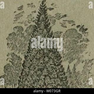 Archiv Bild ab Seite 490 von Die Gartenkunst (1899). Gartenkunst diegartenkunst 15 5 Jahr sterben: 1899 sterben GARTENKUNST Alleinige Anzeigen-Annahme: Haasensteln & Vogler A.-6., Frankfurt a. M., Schillerplatz 2 und deren sämtliche Filialen. ''Anzeigenpreis: 25 Pfg. sterben Einheitszeile oder deren Raum; Beilagen / Übereinlcunft. , Extra starke Park-n. Alleebäume auf weite Entfernung verpflanzt. ========== Grosse Conifcren =========. Starke Ziergehölze und Sträucher. - Hochstämmige u. niedrige Rosen. - Pflanzen für moderne Hecken und Gärten. == Mann verlange illustrierten Katalog. Bei grösserem Bedarf Stockfoto