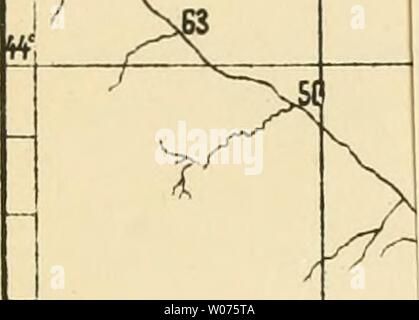 Archiv Bild ab Seite 500 von Decapodenfauna der Adria sterben. Sterben Decapodenfauna der Adria: Versuch einer Monographie diedecapodenfaun 00 Pest Jahr: 1918 Ei ich! : Hr T m Wi&lt; e t Stockfoto