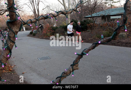 Die Besucher der Saint Louis Zoo genießen Sie die Weihnachtsbeleuchtung und 74 Grad Temperaturen wie Sie Kurzschlüsse in St. Louis am 3. Dezember 2012 tragen. Die Temperaturen werden überdurchschnittlich für mindestens eine Woche bleiben. UPI/Rechnung Greenblatt Stockfoto