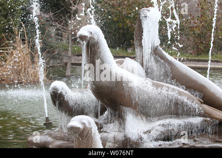 Eine Beschichtung von Eis bedeckt die Dichtung Statue in den Brunnen am Eingang des Saint Louis Zoo in St. Louis am 27. Dezember 2012. Temperaturen in der Nacht um die Mitte 20 mit hohen in den Tag in der 30. Forcasters erwarten, dieses Muster zu letzten mindestens eine weitere Woche. UPI/Rechnung Greenblatt Stockfoto