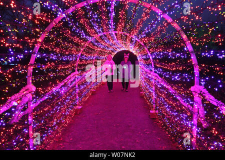 Besucher nach Missouri Botanical Gardens Spaziergang durch das Funkeln Tunnel während der Nacht der Garten Leuchten an der Missouri Botanical Gardens in St. Louis am 20. November 2015. Der Botanische Garten ist in buntes Licht zeigt die Bäume, Pflanzen und climatron verwandelt, ein Gewächshaus in einer geodätischen Kuppel umschlossen. Foto von Bill Greenblatt/UPI Stockfoto