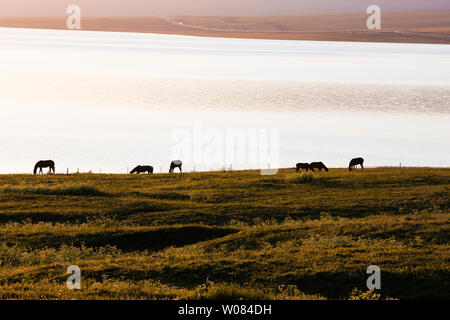 In den frühen Morgenstunden von Selimu See. Stockfoto