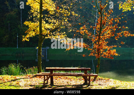 Rastplatz im Herbst park mit Tisch und Bänken Stockfoto