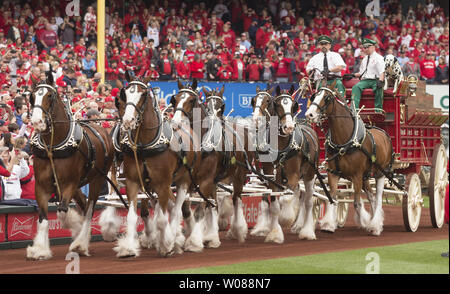 Die budweiser Clydesdales machen sich auf den Weg rund um den Busch Stadium Track auf öffnung Tag in St. Louis am 5. April 2019. Foto von Bill Greenblatt/UPI Stockfoto