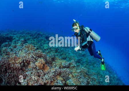 Die 11 Jährige, PADI Junior Open Water Diver, Sean Fleetham (MR), dargestellt Kreuzfahrt über einen Garten von hartkorallen auf molokini Marine erhalten, Ma Stockfoto