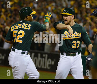 Oakland A's Yoenis Cespedes (52) schlägt die Hände mit Brandon Moos (37), nachdem er einen 2 run Home Run aus Detroit Tiger Max Scherzer im siebten Inning von Spiel 1 der American League Division Series an O. co Coliseum in Oakland, Kalifornien am 4. Oktober 2013. UPI/Terry Schmitt Stockfoto