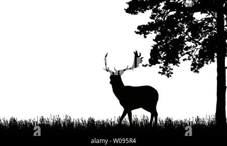 Realistische schwarz Abbildung der ständigen Hirsche mit Geweihen, Gras und hohen Baum. Auf weißem Hintergrund, mit Platz für Text-Vektor Stock Vektor