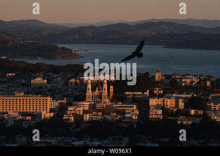 Eine Krähe Dateien über der Stadt den Sonnenaufgang Hits der Universität von San Francisco und St. Ignatius Kirche in San Francisco, von Twin Peaks gesehen, am 18. Februar 2019. Cool wolkenlosem Wetter, Regen und Licht Verkehr auf den President's führte zu einem uncommenly klaren Tag in der Bay Area. Foto von Terry Schmitt/UPI Stockfoto