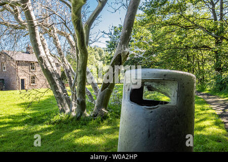 Clitheroe, Lancashire, UK. 27 Juni, 2019. Tausende von hungrigen Hermelin Nachtfalter Raupen eine Eibe in eine Ghost tree Dunsop Brücke, Clitheroe, Lancashire. Die hungrigen Raupen spinnen die Web-sites, um sich selbst zu schützen, während sie auf den Baum hinter Vorschub und kann in der Nähe von Objekten wie diese Abfallbehälter. Die Bahnen verschwinden langsam über dem Sommer und der Baum wird wahrscheinlich erholen. Quelle: John Eveson/Alamy leben Nachrichten Stockfoto