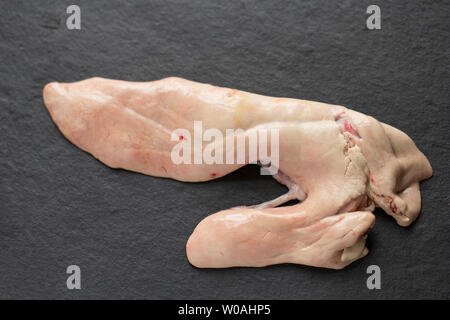 Die rohe Leber eines Seeteufel oder Seeteufel, Lophius piscatorius, verfing sich die Grundschleppnetzfischerei in den Ärmelkanal. Die Leber ist in einigen Teilen der wor Stockfoto