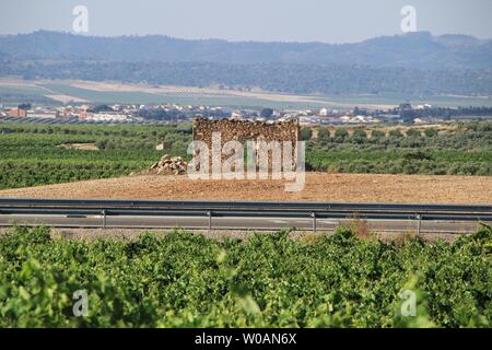 Alten verfallenen Haus aus Stein von Weinbergen in Jumilla, Spanien umgeben Stockfoto