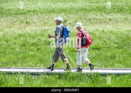 Zwei ältere Wanderer, ein Holzweg durch ein Torfmoor, in der Nähe von Bozi dar, Erzgebirge, Tschechische Republik Wandern Senioren Paar Wandern Stockfoto