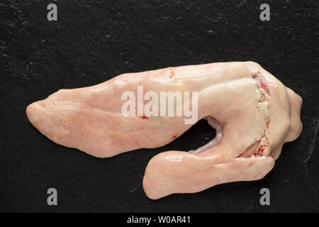 Die rohe Leber eines Seeteufel oder Seeteufel, Lophius piscatorius, verfing sich die Grundschleppnetzfischerei in den Ärmelkanal. Die Leber ist in einigen Teilen der wor Stockfoto
