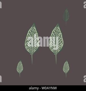 Nahtlose Muster, dunkel grüne, weiße und braune Ficus elastischem Blätter auf hellen Hintergrund Stock Vektor