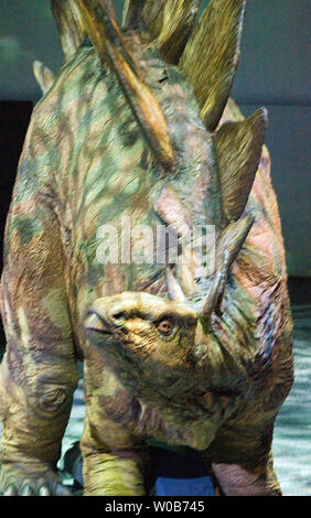 Eine Rüstung vergoldete Stegosaurus aus der Jurazeit Futter während der 90-minütigen Spaziergang mit Dinosaurier - die Live Erfahrung zeigen an GM Place in Vancouver, British Columbia, 31. Januar 2008. Puppenspieler und animatronics 15 Leben wie Kreaturen aus zehn Arten über den gesamten 200 Millionen Jahre Herrschaft der Dinosaurier in der Show, die bereist Nordamerika basierend auf der preisgekrönten BBC-Serie erstellen. (UPI Foto/Heinz Ruckemann) Stockfoto