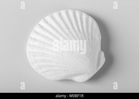 Decorational Muscheln auf weißem Hintergrund Stockfoto