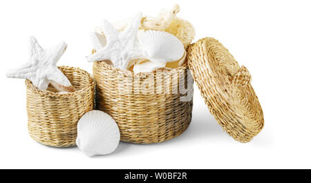 Decorational Muscheln auf weißem Hintergrund Stockfoto