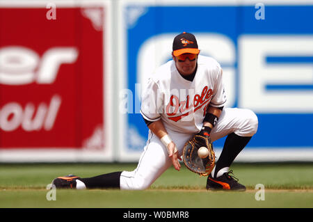 Die Baltimore Orioles Kevin Millar (15) die Felder a hart am Ball im vierten Inning auf einer Kugel von Jorge Posada der New York Yankees an der Orioles Park at Camden Yards, Baltimore, MD, am 4. Juni 2006. Die Orioles besiegten die Yankees 11-4. (UPI Foto/Mark Goldman) Stockfoto