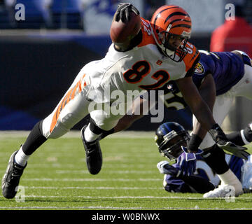 Die Cincinnati Bengals tight end Reggie Kelly (82) fängt ein 8 Yard Pass für einen ersten Abstieg im zweiten Viertel gegen die Baltimore Ravens linebacker Bart Scott (57) am 5. November 2006 in einem Spiel bei M&T Bank Stadium in Baltimore, Maryland. (UPI Foto/Mark Goldman) Stockfoto