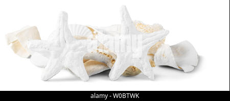 Decorational Muscheln auf weißem Hintergrund Stockfoto