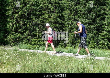 Senioren, nordic walking Paar Stockfoto