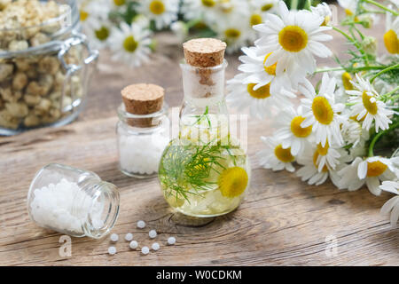 Daisy Infusionsflasche, Kamillenblüten, Flaschen der homöopathischen Kügelchen und Glas Glas trockener Gänseblümchen. Stockfoto