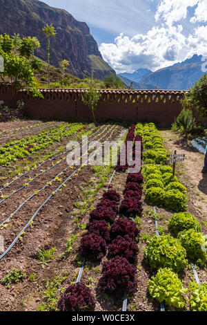 Parwa Gemeinschaft Restaurant, Huchuy Qosqo, das Heilige Tal, Peru, Südamerika Stockfoto