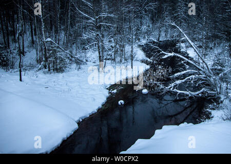 Winter Fluss mit dunklen Wasser fließt durch die Schnee-weiße Banken von Bäumen und Sträuchern. Fluss in der Wintersaison. Russland Stockfoto