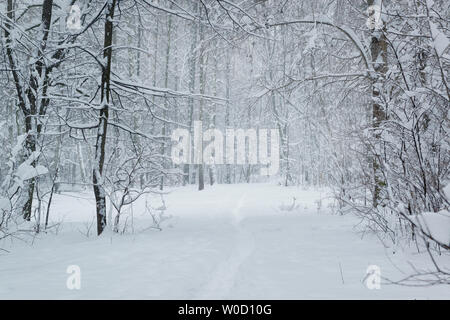 Schneefall in den leeren Winter Park Stockfoto